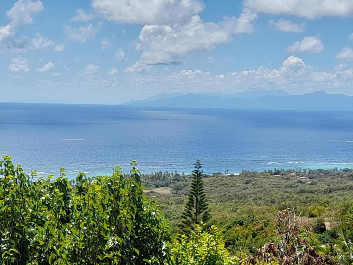 Domaine Des Tourterelles Villa Capesterre Eksteriør bilde